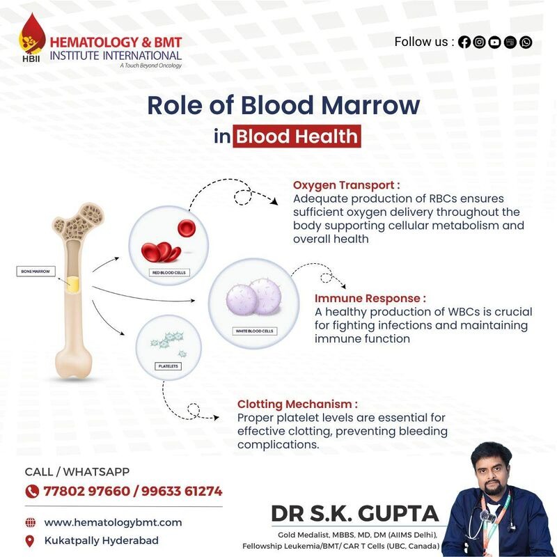 Telehealth for Bone Marrow